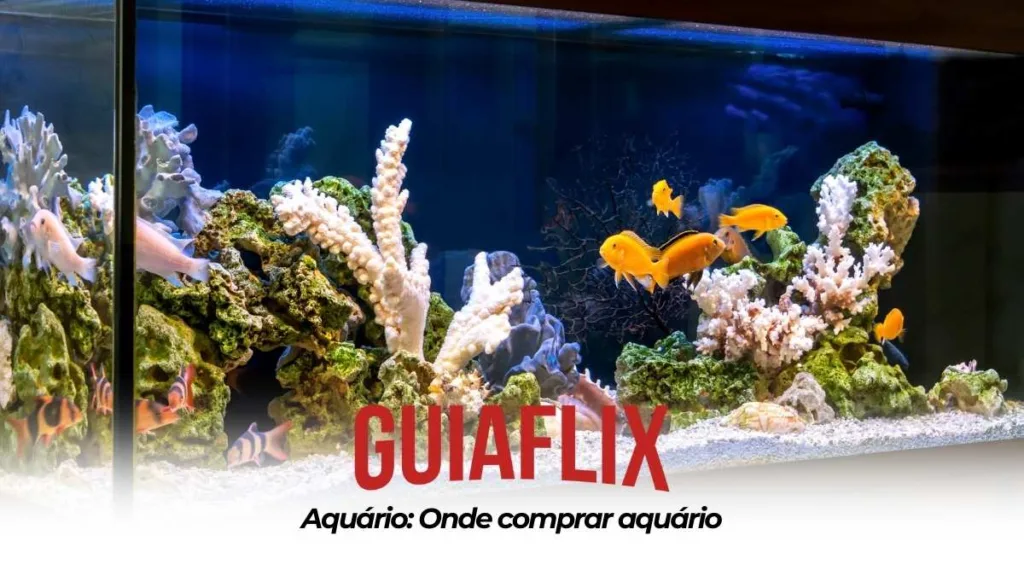 Aquario Onde comprar aquario