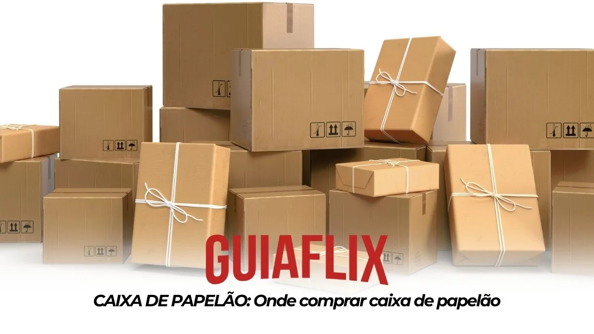 CAIXA DE PAPELAO Onde comprar caixa de papelao