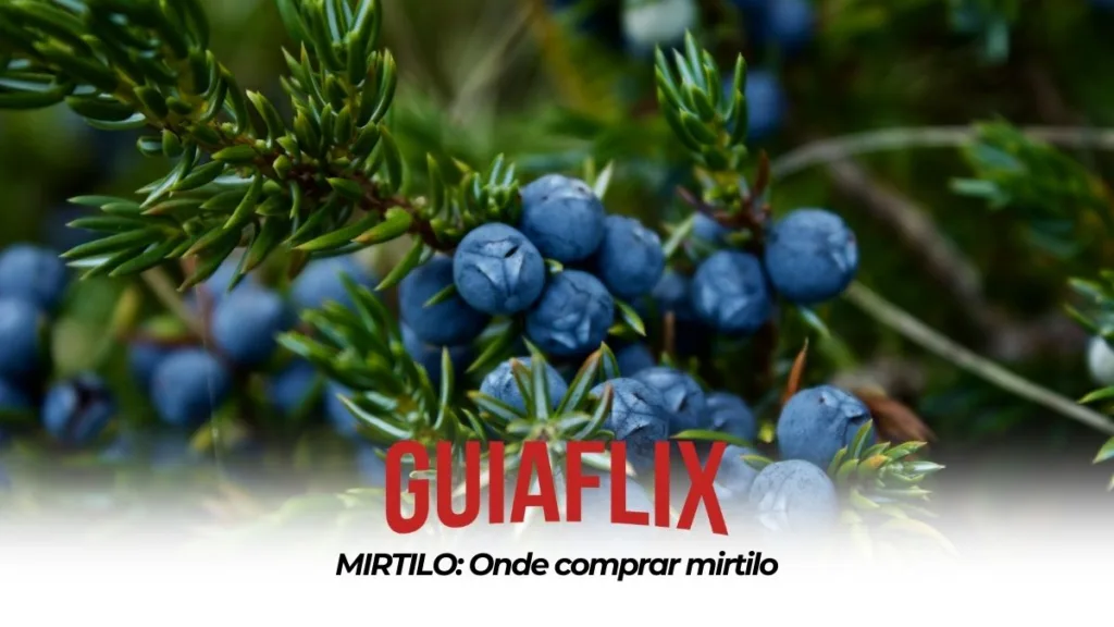 MIRTILO Onde comprar mirtilo