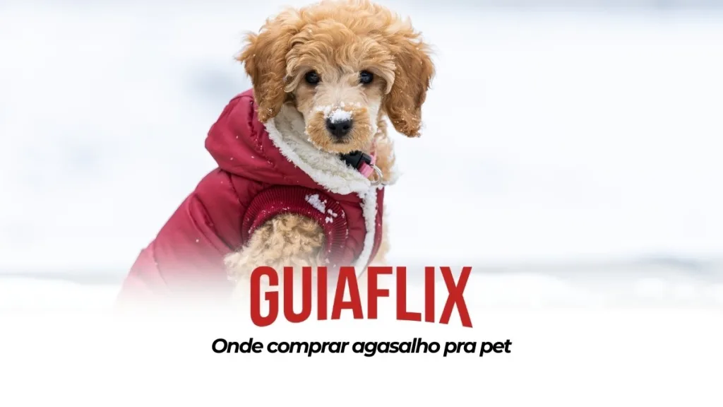 Onde comprar agasalho pra pet