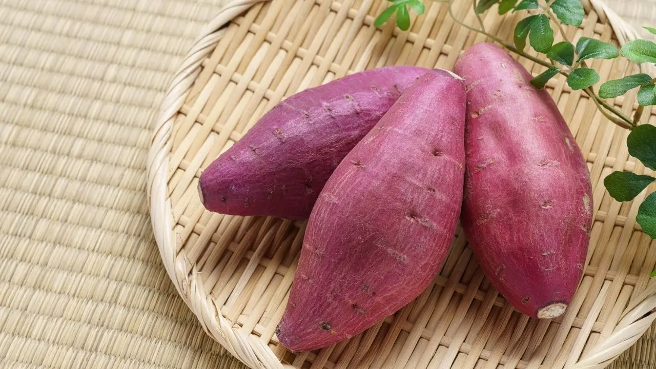 Batata doce roxa ajuda na proteção do coração e controle da pressão arterial