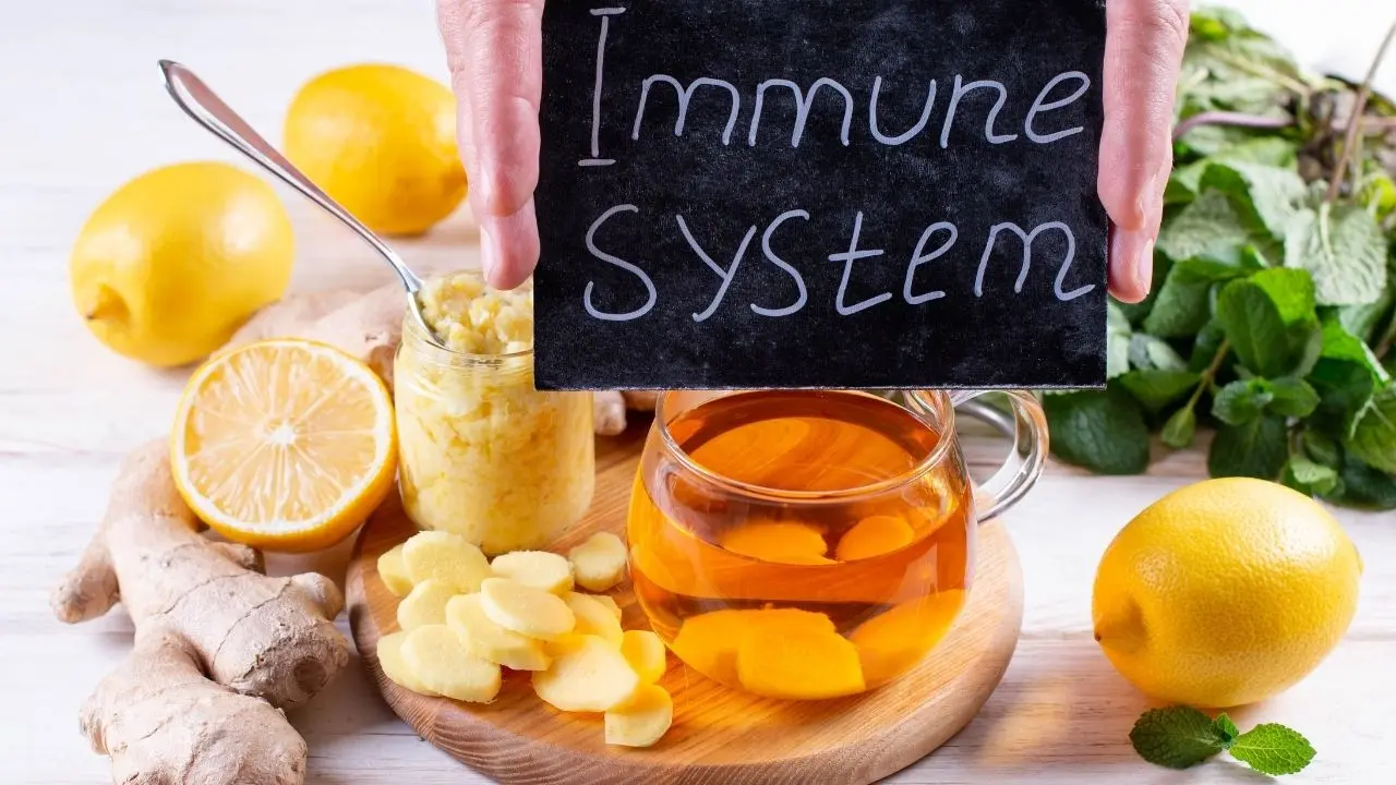 Especialistas indicam bebidas naturais para manter a imunidade alta