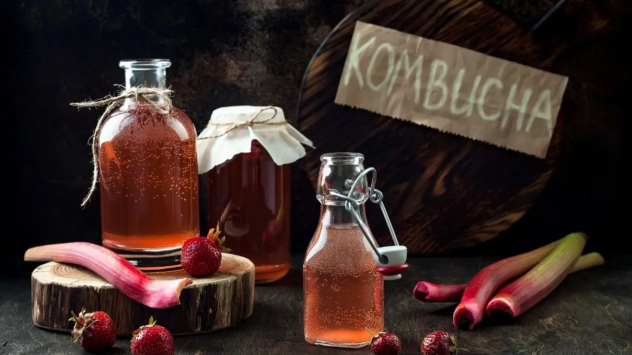 Bebida milenar kombucha ganha destaque no combate ao inchaço abdominal